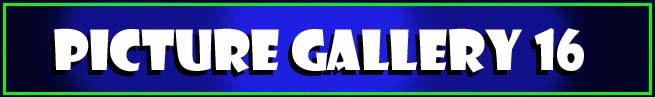 Picture Gallery 16
