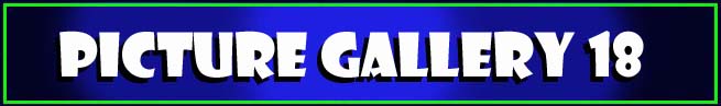 Picture Gallery 18